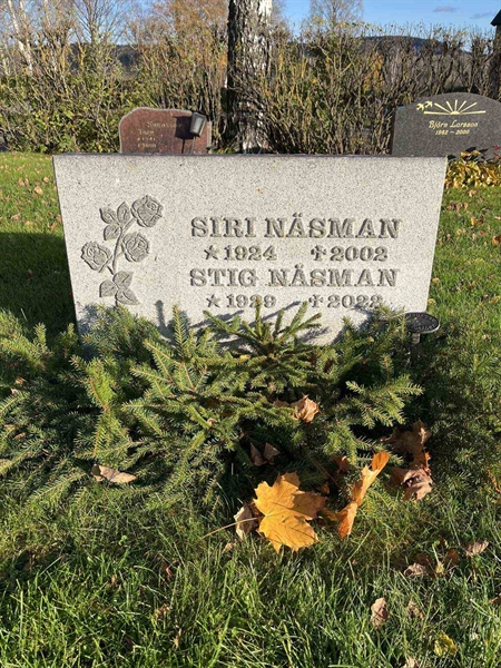 Gravnummer: 3084 J   117-118