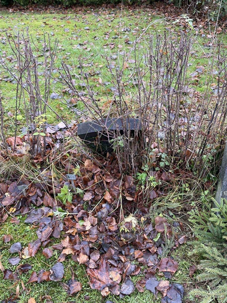 Gravnummer: GK A 3   446