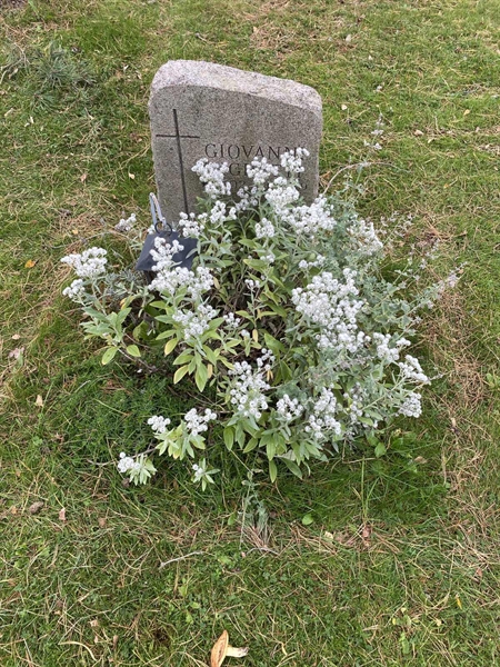 Hautatunnus: 2 C   934