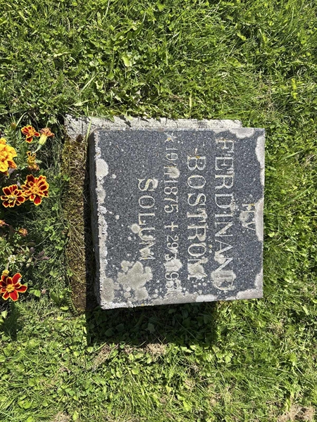 Grave number: SÄ MEL  1120