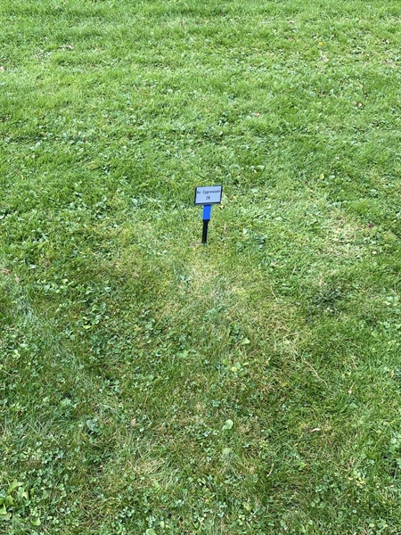 Gravnummer: 2 C    28