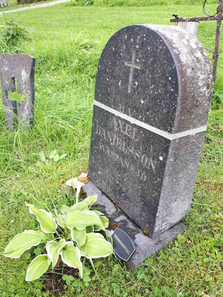 Gravnummer: GK A 4   213V