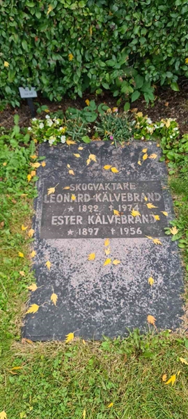 Grave number: M F  148, 149