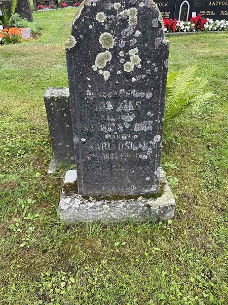 Gravnummer: N 4 4   544