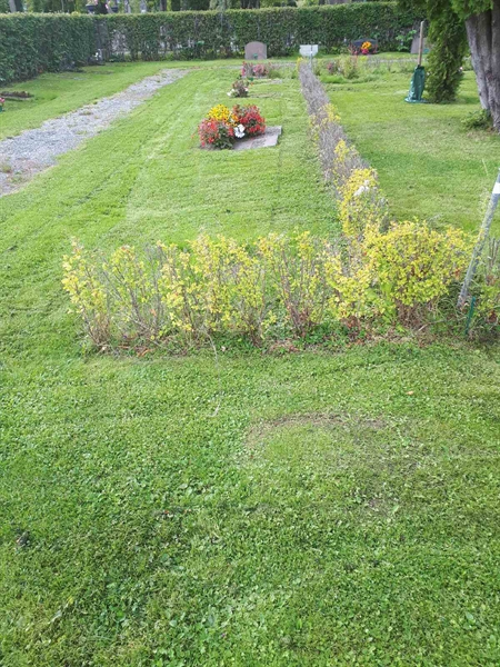 Gravnummer: NK F G    95