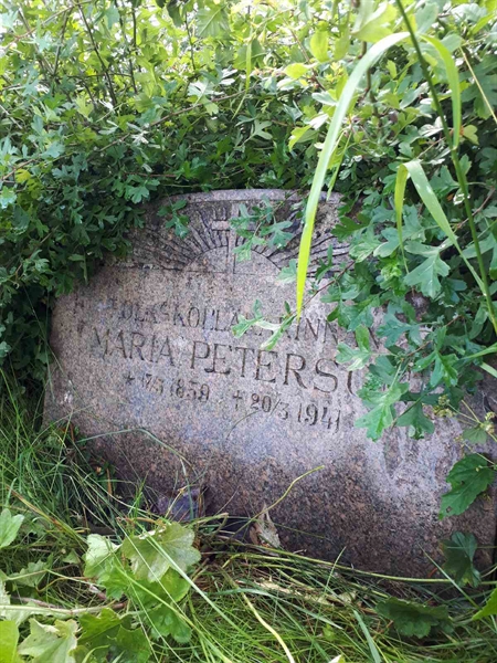 Hautatunnus: GK F 5   529C