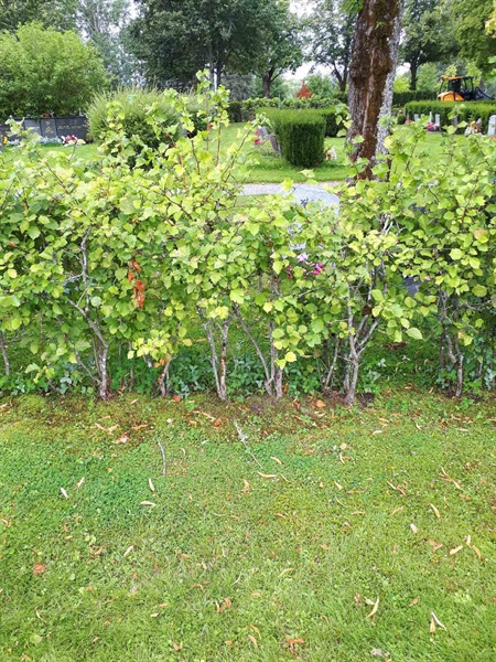 Gravnummer: NK F A    14