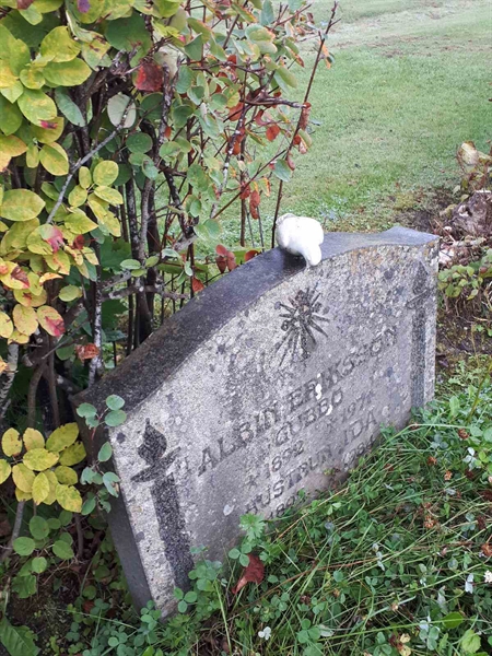 Gravnummer: NK F B   179B