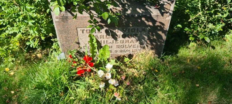 Grave number: M B   44, 45