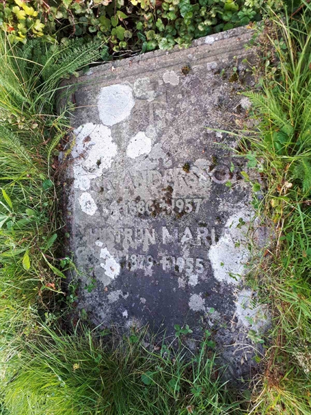 Hautatunnus: NK F G   201