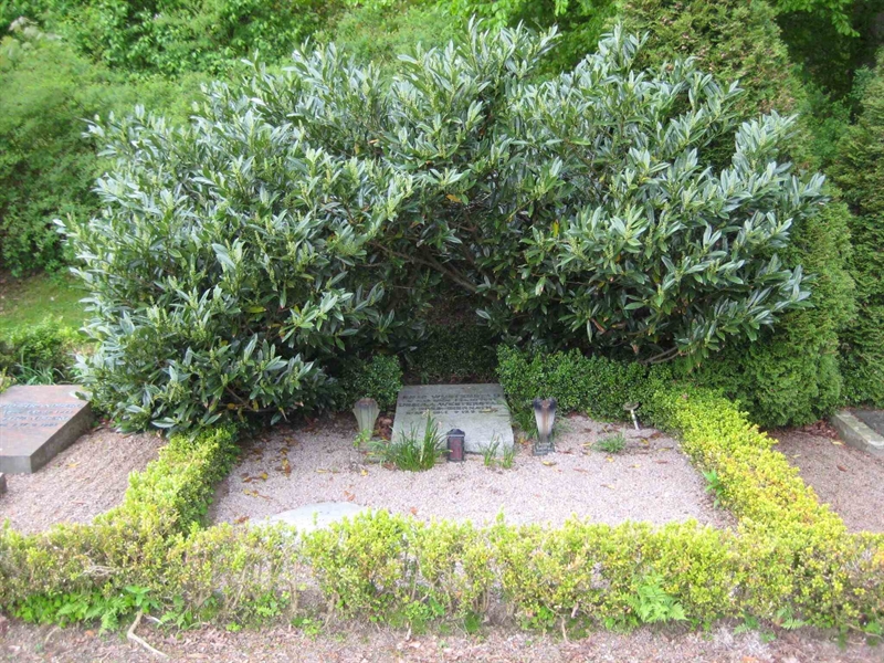 Hautatunnus: BNB 4E   950