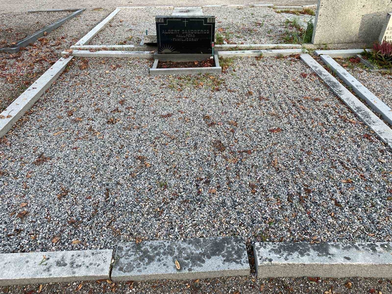 Hautatunnus: 2 06   195