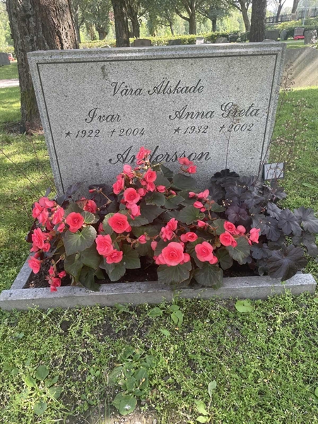 Grave number: H 8    94-95