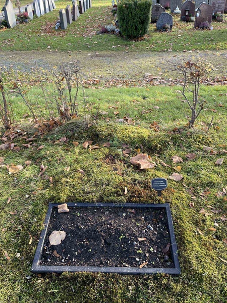 Gravnummer: GK F 2   154