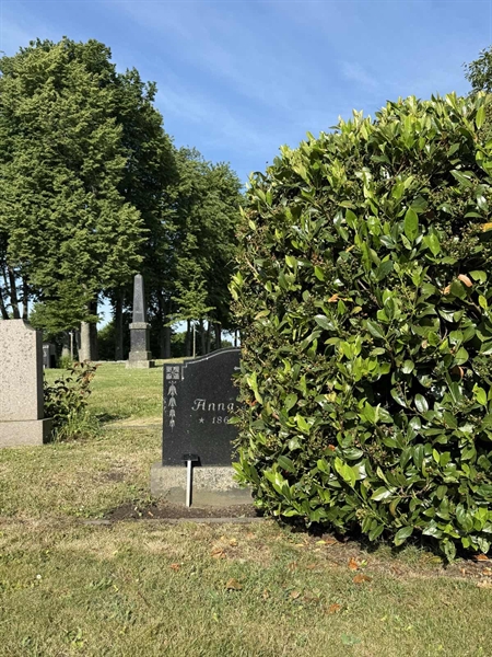 Grave number: FÅ A 113