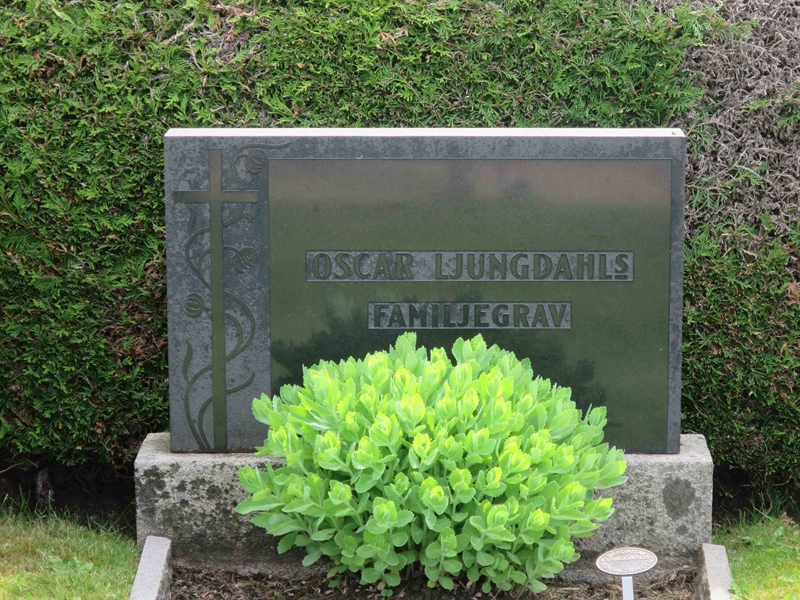 Grave number: HÖB 39     5