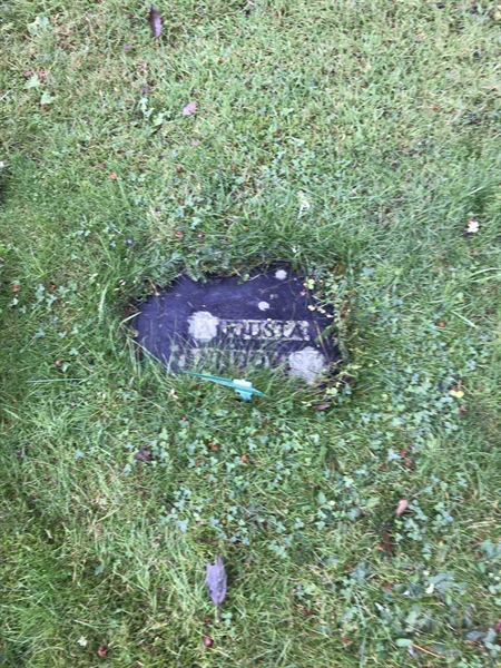 Grave number: B 01   214