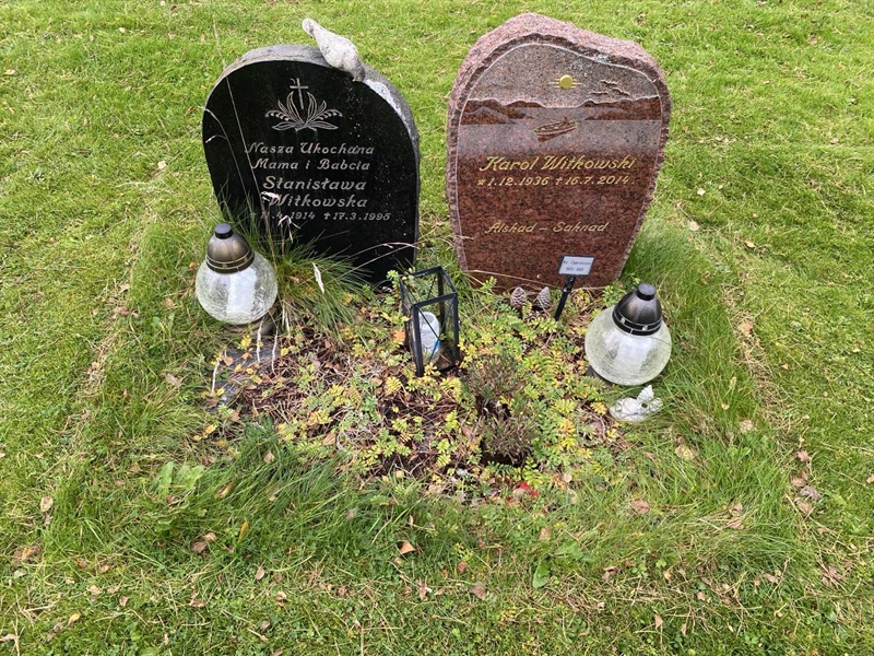 Hautatunnus: 2 C   665-666