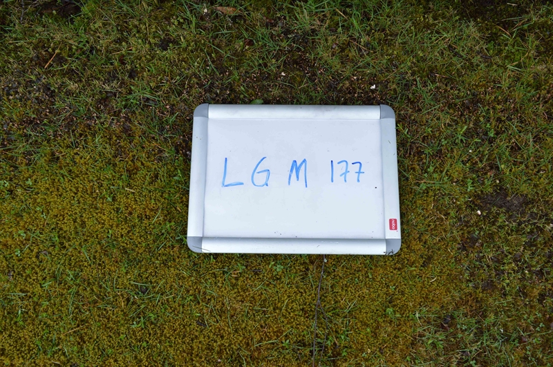 Gravnummer: LG M   177