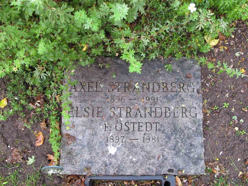 Grave number: KÄÖ A   425, 426, 427