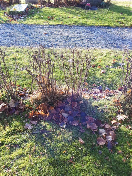 Gravnummer: GK U 2    50