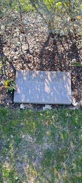 Grave number: 3 Nya U2     5
