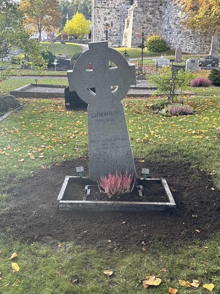 Grave number: SI 2   173, 174