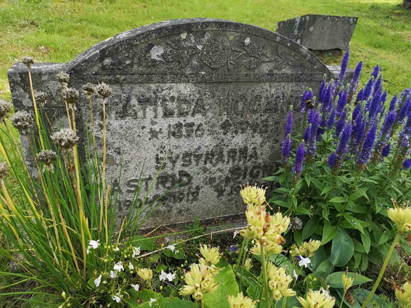 Gravnummer: POK 06    15