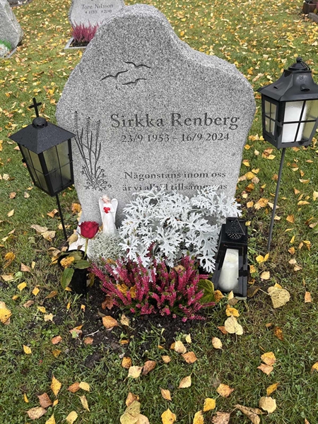 Grave number: 1 01 237