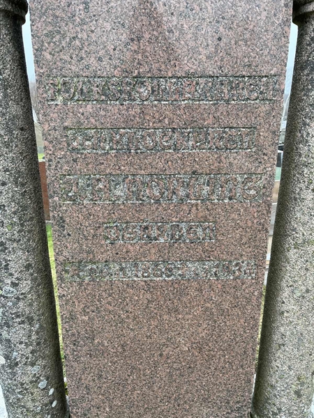Hautatunnus: Vårv Kv3 38