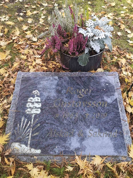 Hautatunnus: VLM U    45