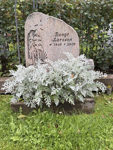 Grave number: 3  2432