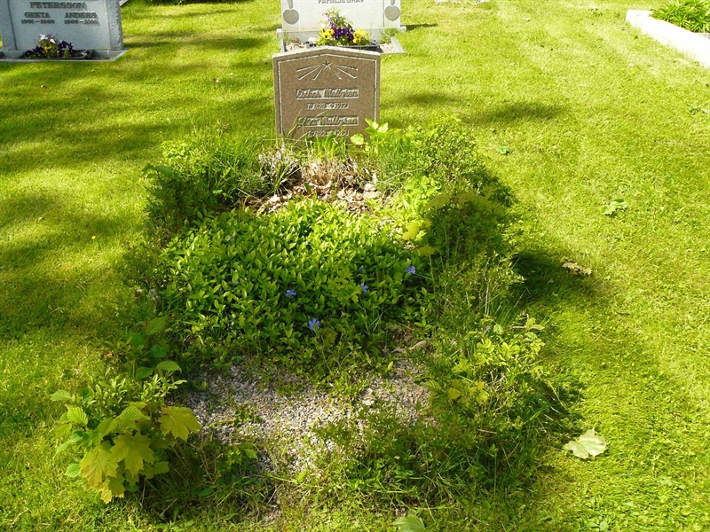 Grave number: Lå G C   455