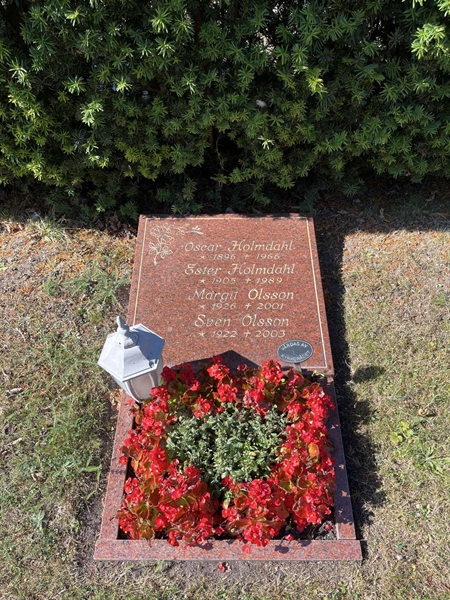 Grave number: NK I:u   250
