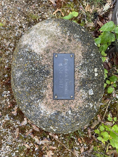Hautatunnus: 1 13 286, 287