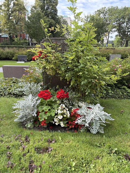 Hautatunnus: 1 T   174