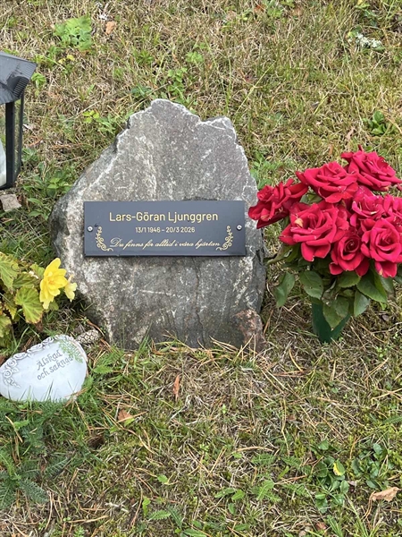 Grave number: 6 6    66