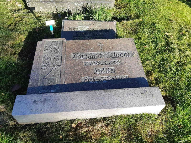 Grave number: Fr 7   242-243