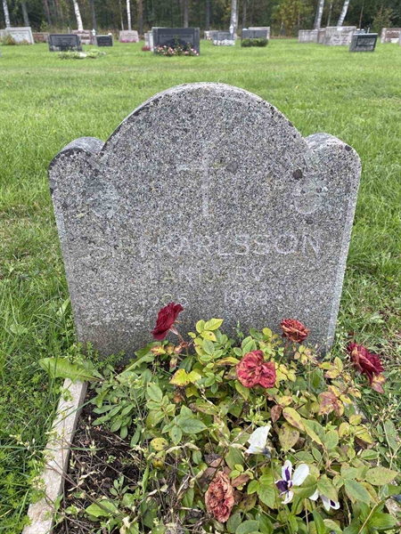 Gravnummer: 3 07    78