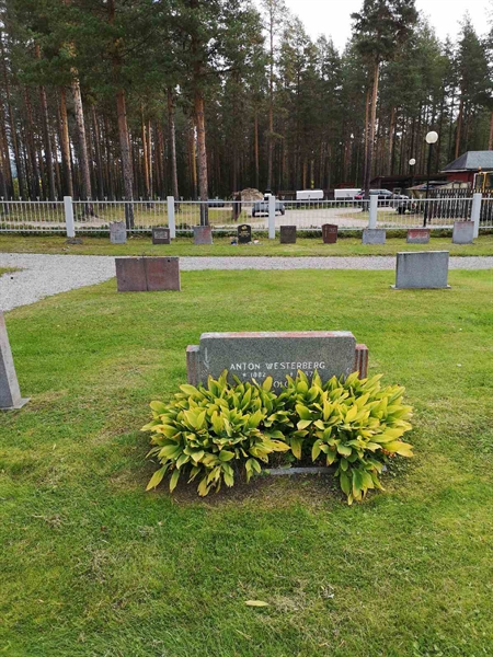 Hautatunnus: VLM 04    12:1-2