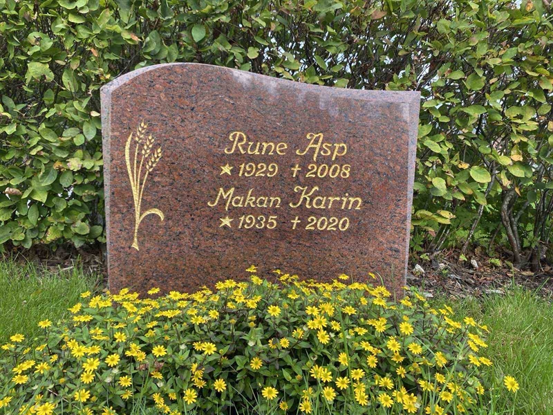 Hautatunnus: 1 19    222