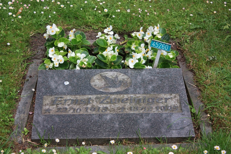 Grave number: Ö 45   260