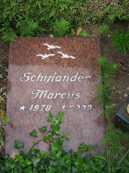 Grave number: HÖB 46    39
