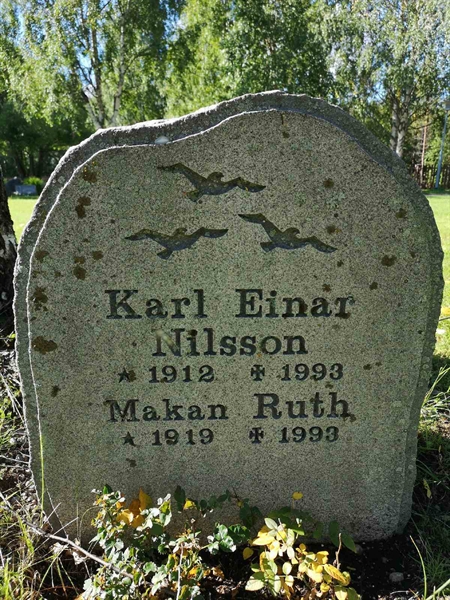 Hautatunnus: NK 18    47