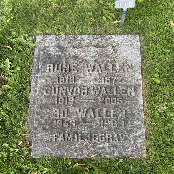 Gravnummer: 1 T   184