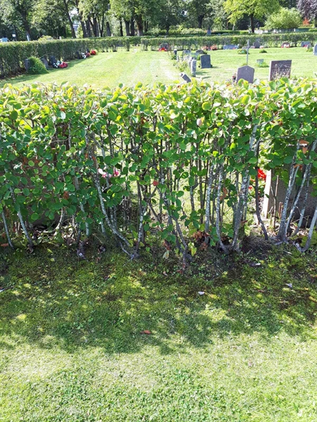 Gravnummer: NK F A   116