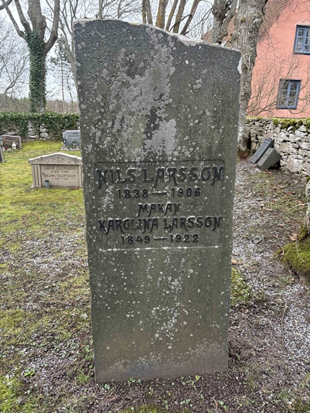 Gravnummer: LE   238