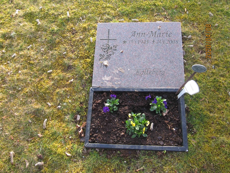Grave number: 02 M   29