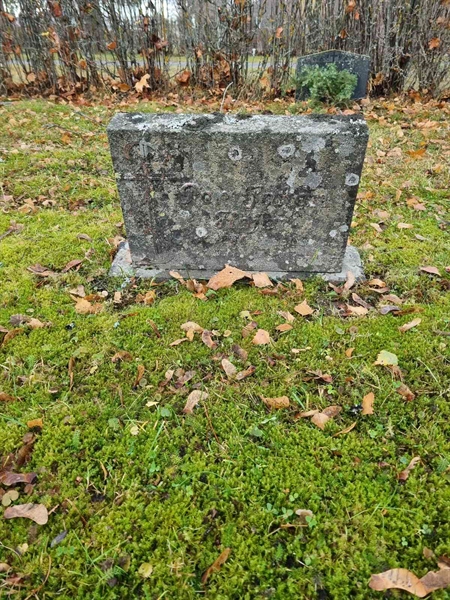 Grave number: 1 19   73