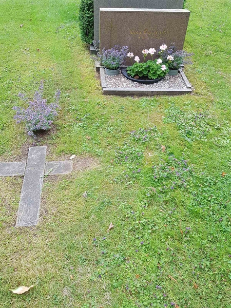 Grave number: 01   843